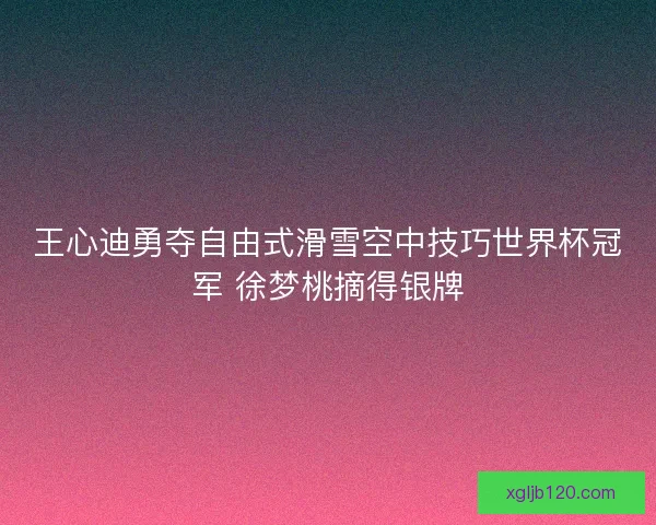 王心迪勇夺自由式滑雪空中技巧世界杯冠军 徐梦桃摘得银牌